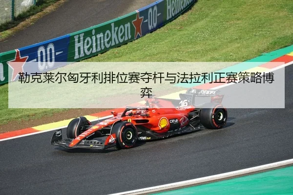 lei-ke-lai-er-xiong-ya-li-pai-wei-sai-duo-gan-yu-fa-la-li-zheng-sai-ce-lve-bo-yi-3-920.jpg
