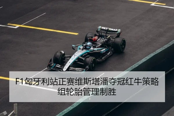 xiong-ya-li-zhan-zheng-sai-wei-si-ta-pan-duo-guan-hong-niu-ce-lve-zu-lun-tai-guan-li-zhi-sheng-3-556.jpg